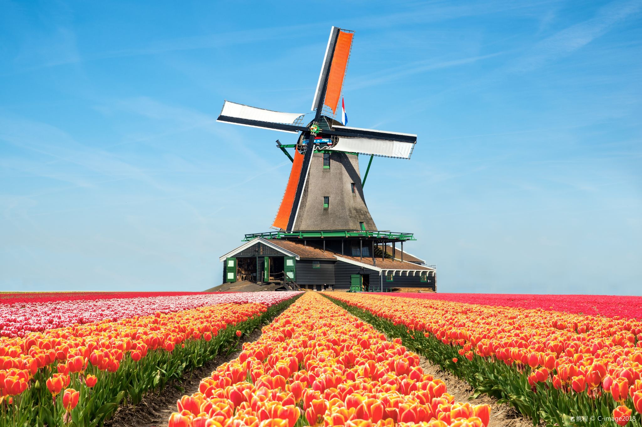 Giethoorn and Windmill Village one-day tour Tour from Amsterdam, Netherlands