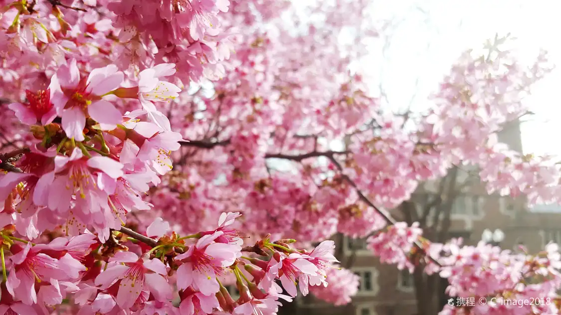 Hotels near Chinese Culture University