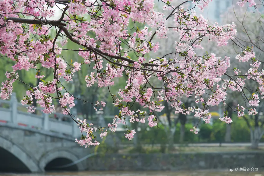 莫愁湖公園