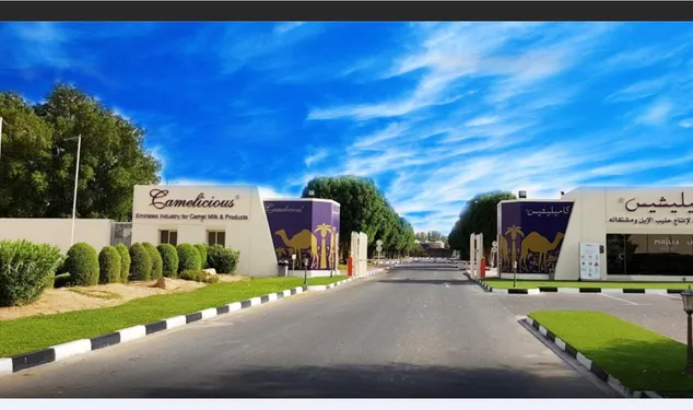 2_杜拜駱駝工廠