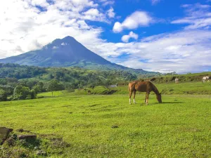 Parc national Volcán Arenal