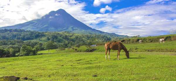 Homestays in Heredia, Costa Rica