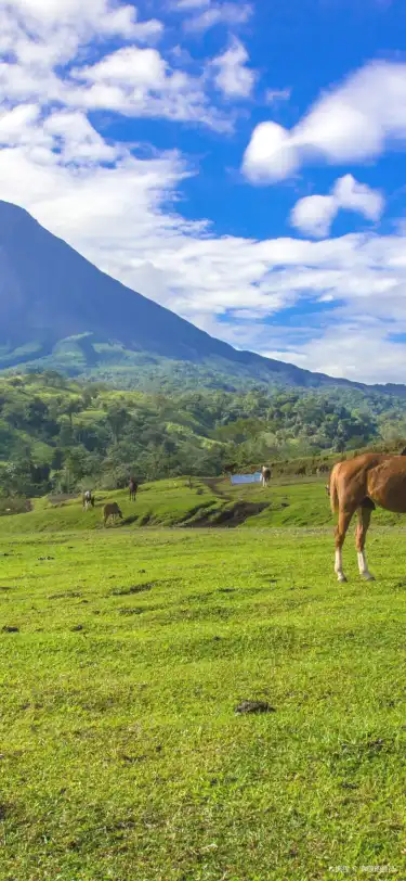 コスタリカエレディアで、駐車場のあるホテル