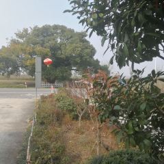 蘇州百年香樟緣鑫樓飯店·農家樂張用戶圖片