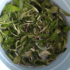 瑤琳紅燈籠笑笑農家樂張用戶圖片