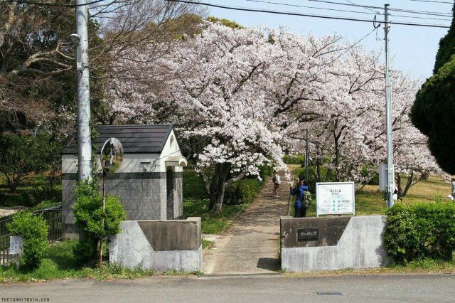 のこのしまアイランドパーク