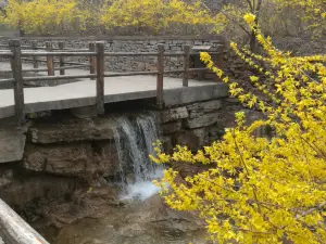 黃花溪