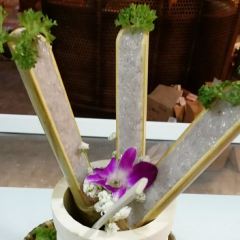 花鲢鱼头火锅(春城东路店) User Photo