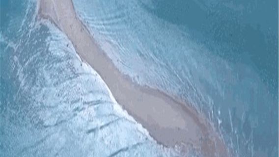 2人起獨立包團一日遊東山島魚骨沙洲風動石金鑾灣廈門漳州上門接送