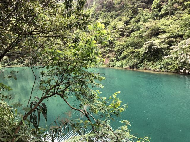 Ziyungu