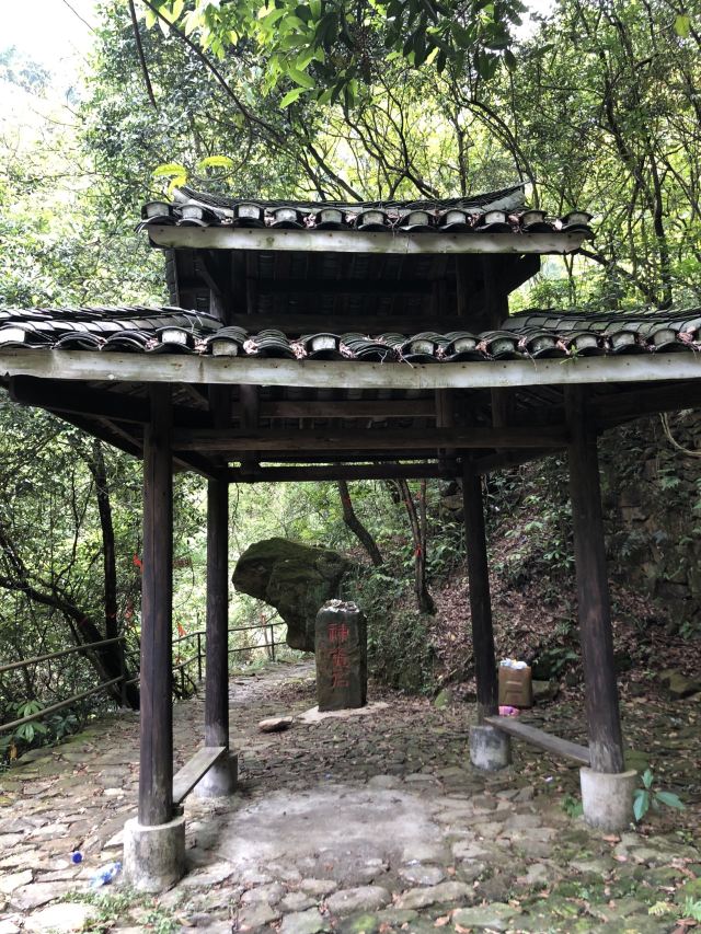 Ziyungu
