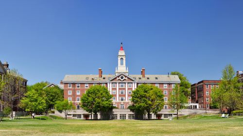 Harvard University