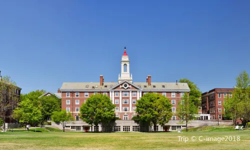 Harvard University