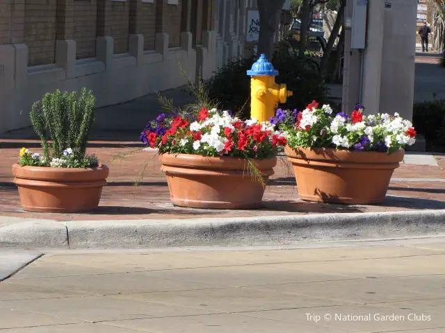 Downtown DeLand's Historic Garden District