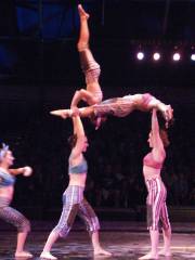 Circus Juventas