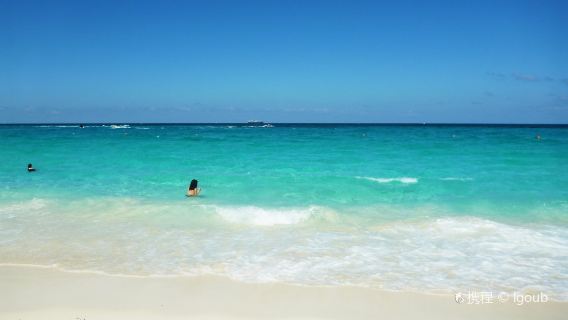 Montagu Beach