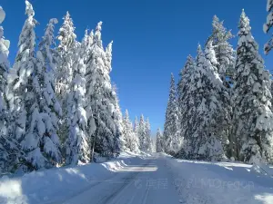 Monument national de Cascade-Siskiyou