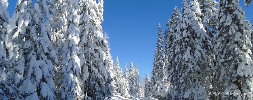 Oregon