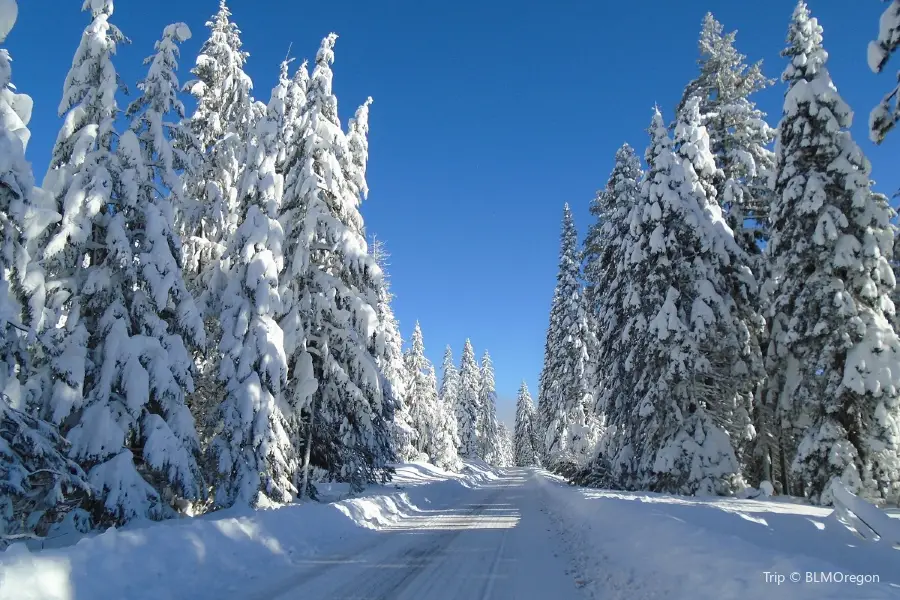 Cascade-Siskiyou National Monument