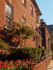 Library of Virginia