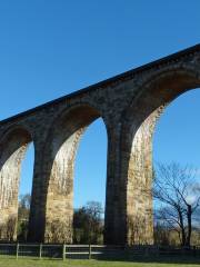 Ty Mawr Country Park