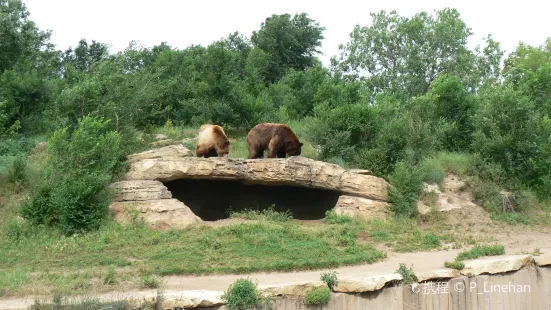 セジウィック動物園