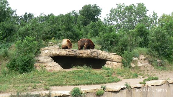 Sedgwick County Zoo
