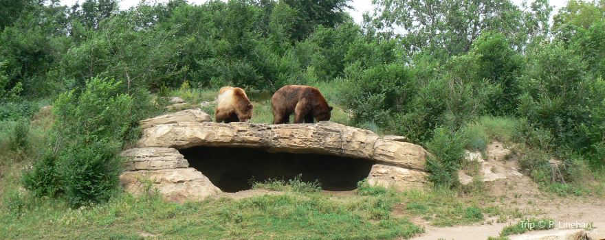 Sedgwick County Zoo