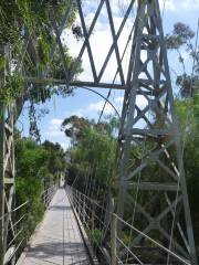 Spruce Street Suspension Bridge