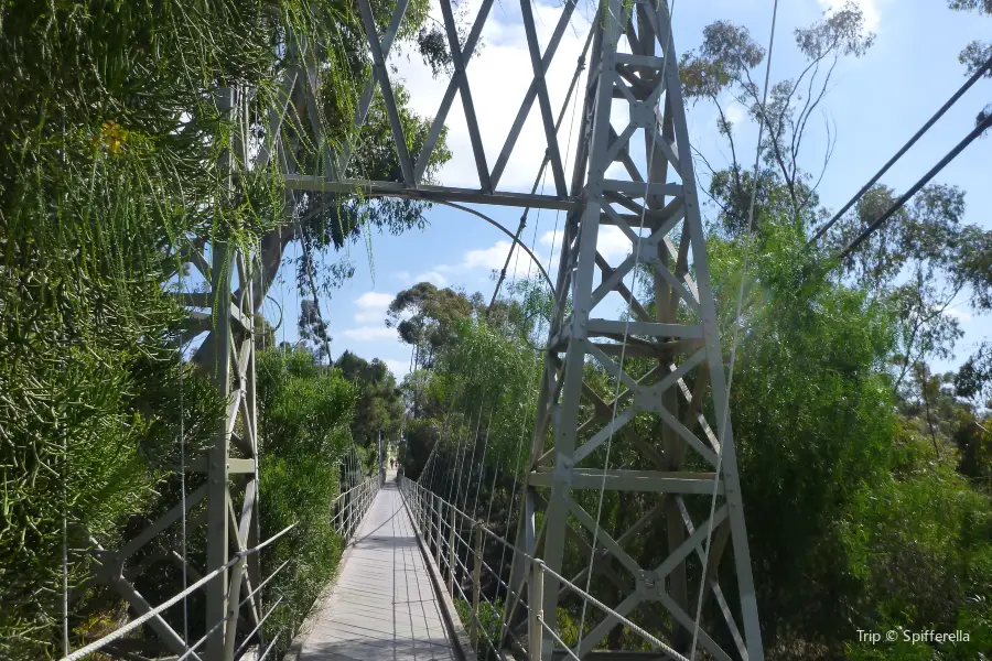 Spruce Street Suspension Bridge