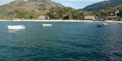 Quimixto