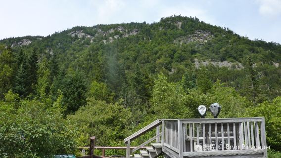 eendaagse tour Boston + White Mountains: Verdwaal in rivierdalen, beekjes en canyons