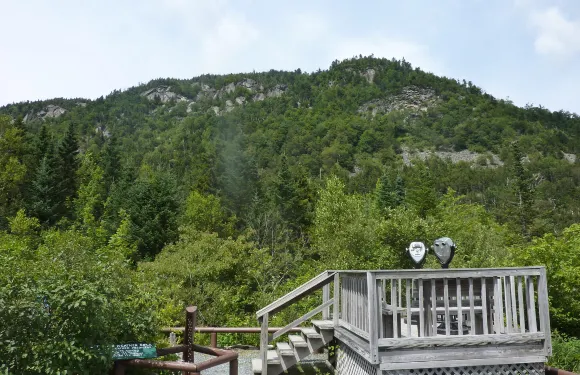 美國 波士+白山一日遊【迷失河谷溪澗峽谷】