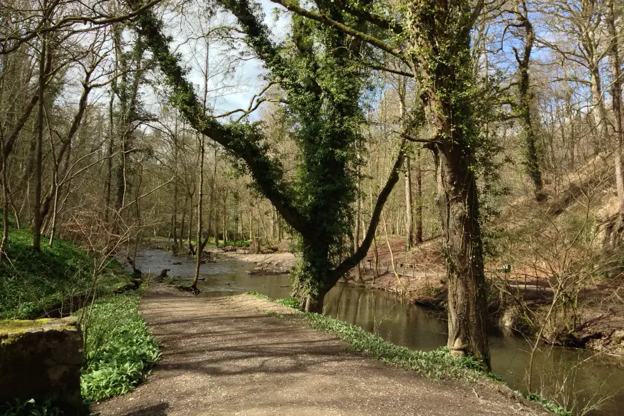 Loggerheads Country Park