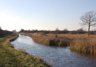 National Trust - Wicken Fen Nature Reserve