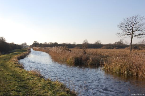 National Trust - Wicken Fen Nature Reserve