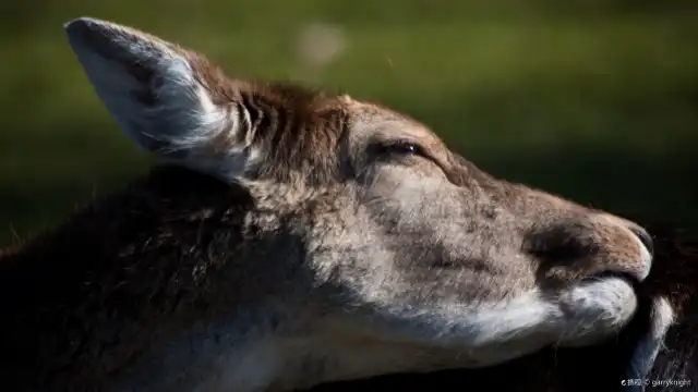 Hotels near Golders Hill Park