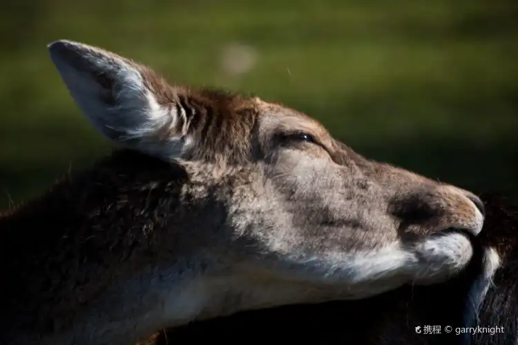 Hotels near Little Waitrose At Shell Stirling Corner