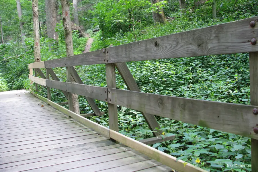 Jefferson Memorial Forest