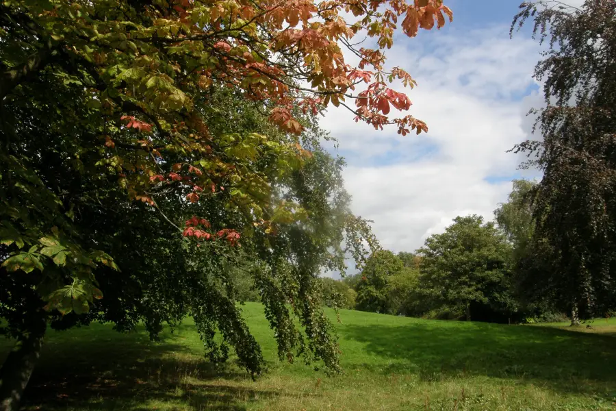 Bosque de la Hoja