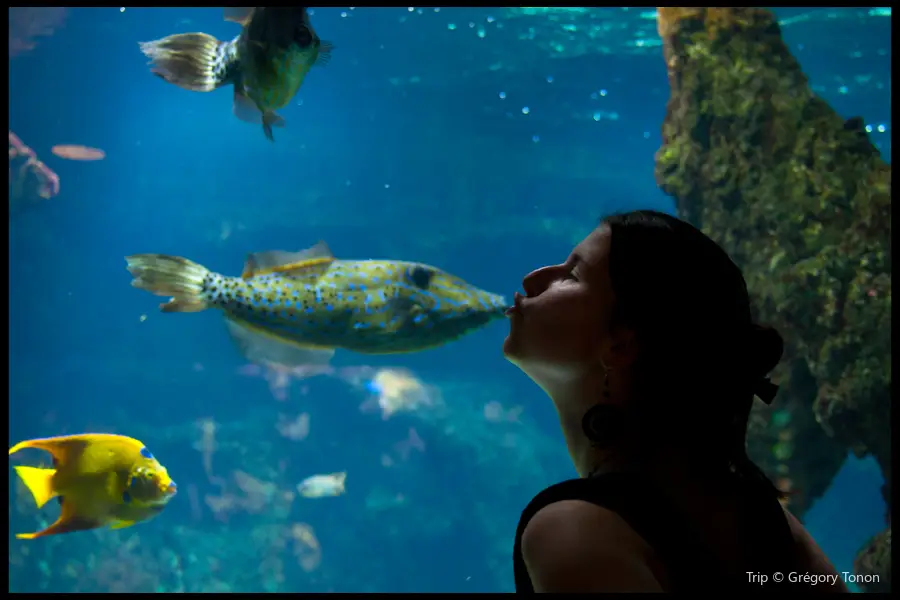 ラ・ロシェル水族館