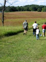 Lake Elmo Park Reserve