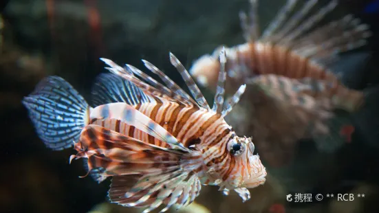 Biomes Marine Biology Center