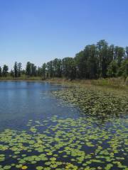 Lake Louisa State Park