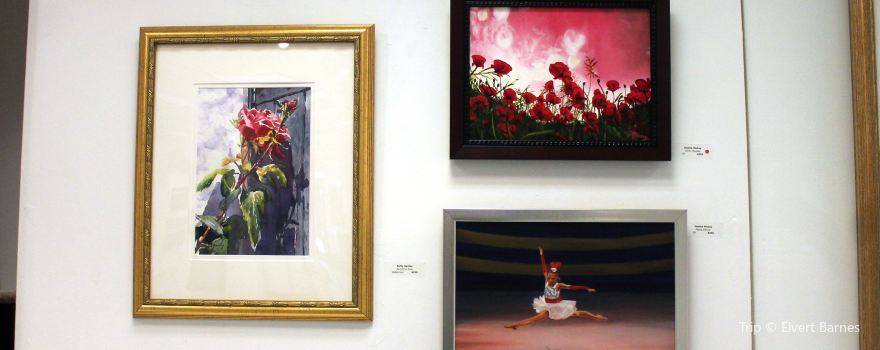 Coast Gallery