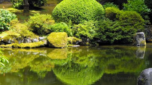 水本日本散歩庭園