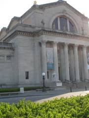 Сент-Луисский художественный музей