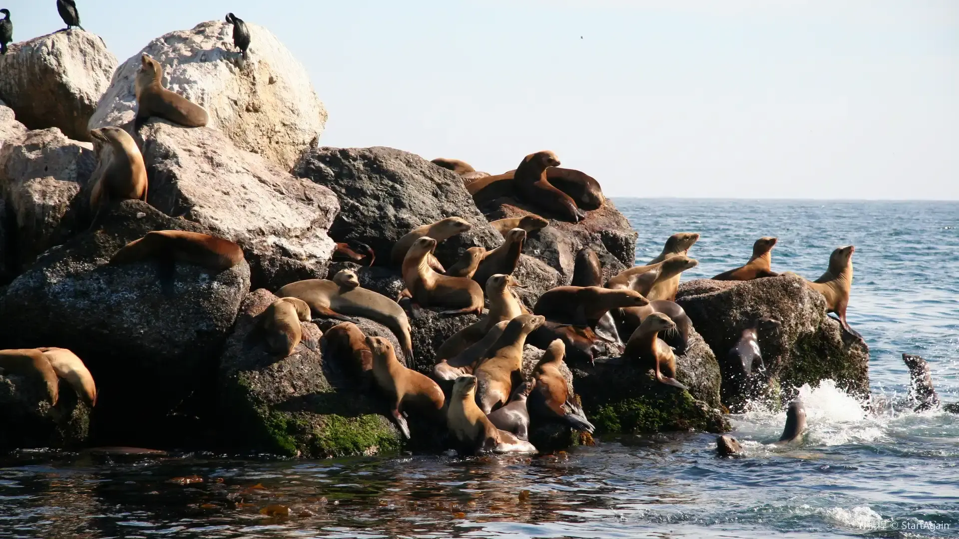 Hotels near Coast Guard Pier