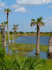 Ritch Grissom Memorial Wetlands