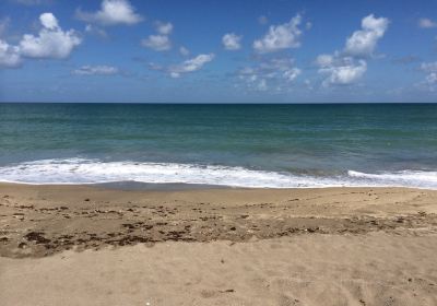 Blind Creek Beach